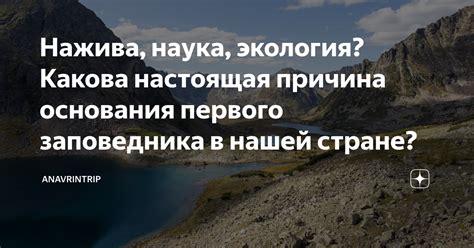 Какова причина существования нашей жизни?