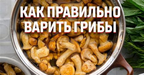 Как варить грибы, чтобы они сохранялись дольше