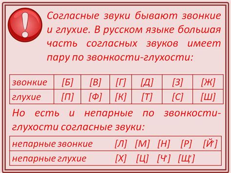 Как влияет количество букв и звуков на восприятие слова?