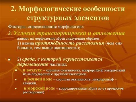 Как влияют морфологические особенности на количество символов и звуков