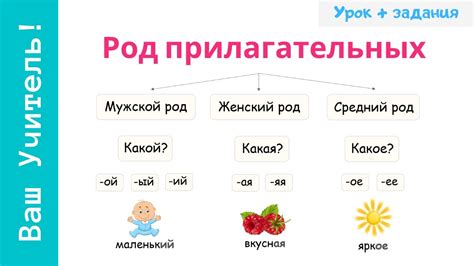 Как изменение окончания может влиять на длину слова съежился