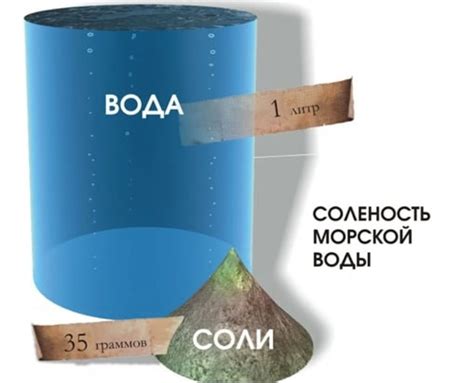 Как измеряется соленость воды и какие показатели считаются нормой?