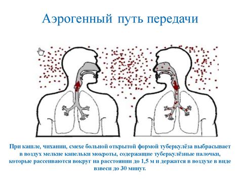 Как механизм заражения работает в организме?