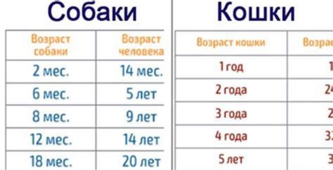 Как определить возраст на текущий год?