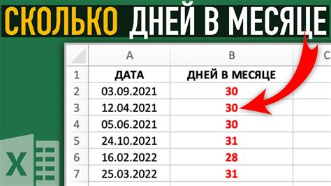 Как определить количество дней в году: разбор по дням и месяцам