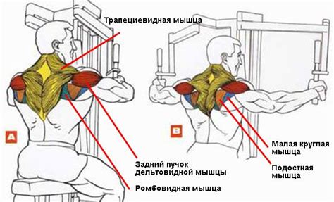 Как правильно выполнять позиции рук