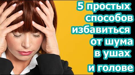 Как правильно и безопасно заботиться о ушах и голове своего питомца