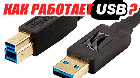 Как работает USB-порт?