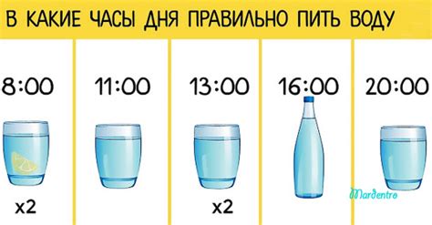 Как рассчитать количество стаканов в 0,32 литра воды