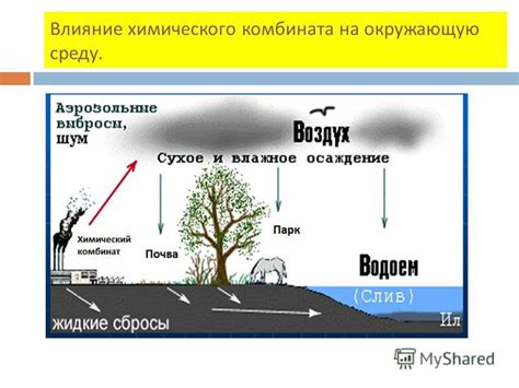 Как роса влияет на растения и окружающую среду?