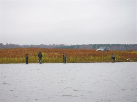 Как рыбы выживают в ледяной воде