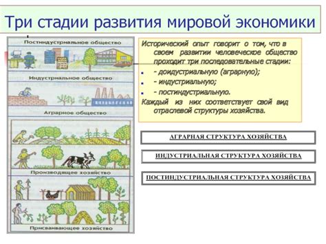 Классификация отраслей экономики: