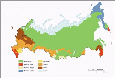 Климатические условия севера России