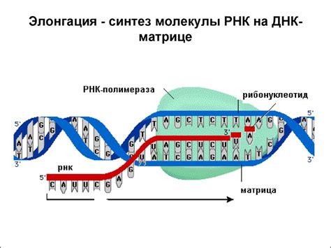 Ключевые этапы матричного синтеза