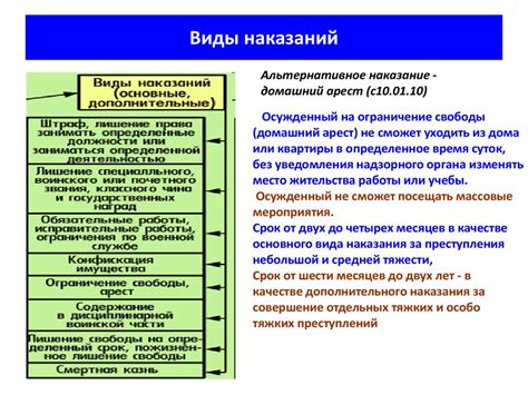 Количество видов наказаний в уголовном законодательстве