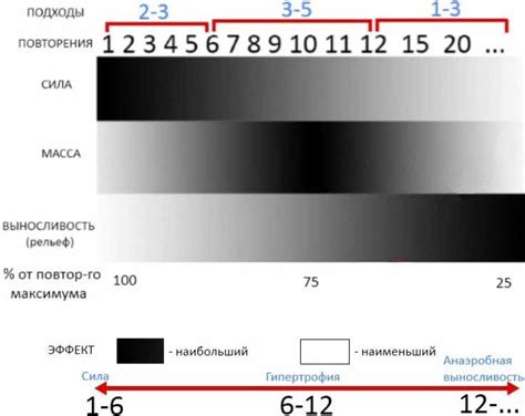 Количество подходов и повторений: основные принципы