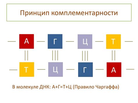 Комплементарность характеров и ценностей