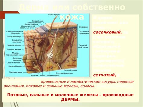 Контакт с прелестирующими и пигментными веществами