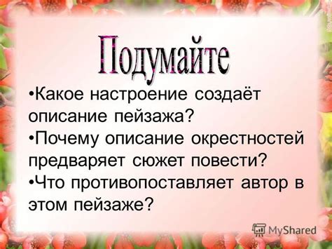 Контрастные характеристики окрестностей в повести