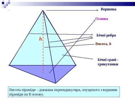 Конус: сколько вершин, граней и ребер?