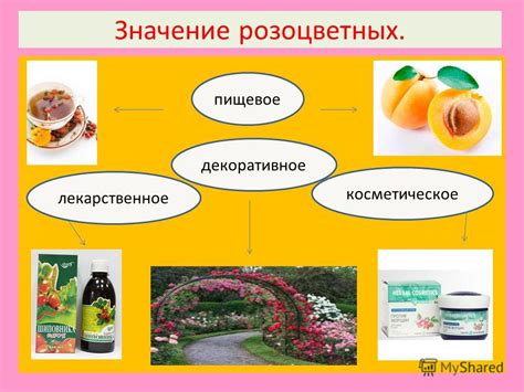 Косметическое и инвестиционное значение