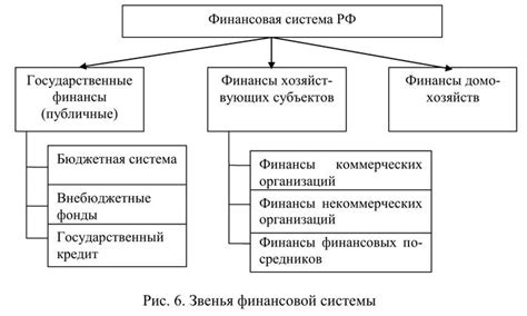 Кровеносная система: аналогия финансовой системы государства