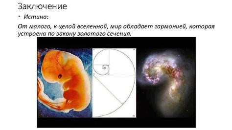 Круглое обладает естественной гармонией