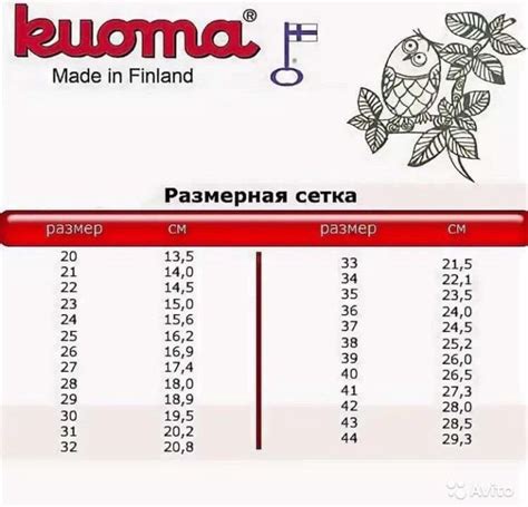 Куома 25 размер: особенности