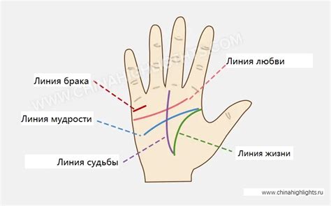 Линия жизни - ее значение и предназначение