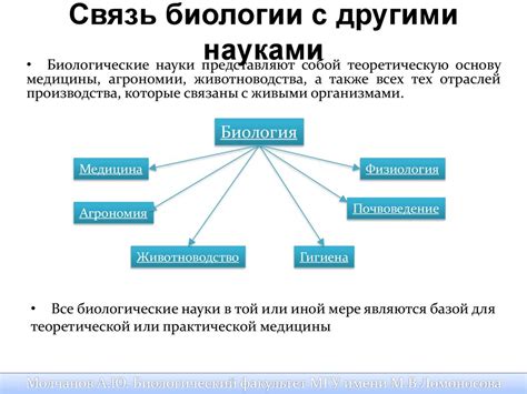 Логическая связь с другими словами