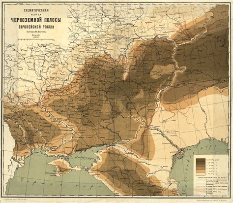 Лучшие способы использования чернозема в сельском хозяйстве