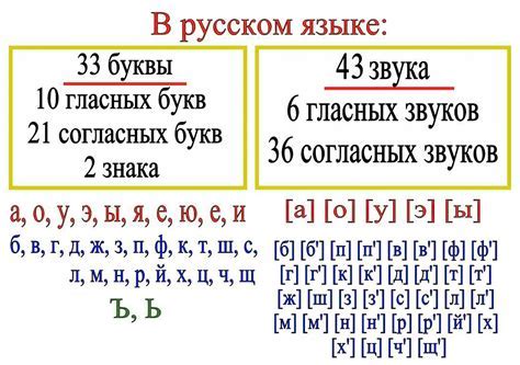 Лягушки: сколько звуков и букв?