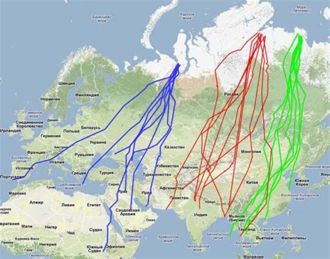 Маршруты миграции гусей