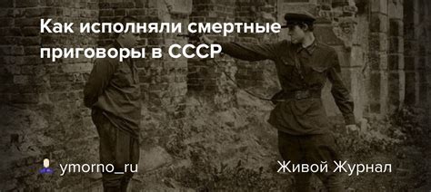 Международные реакции на смертные приговоры в СССР