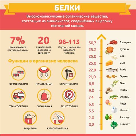 Меню для достижения нормы белка в день