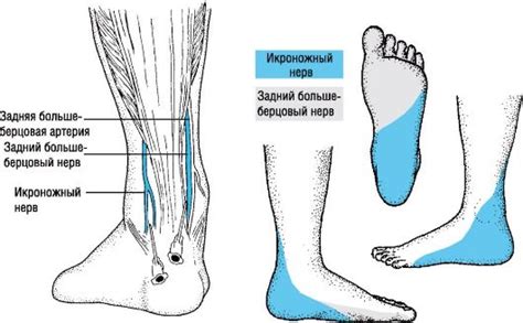 Мерзнет правая нога: причины и решения