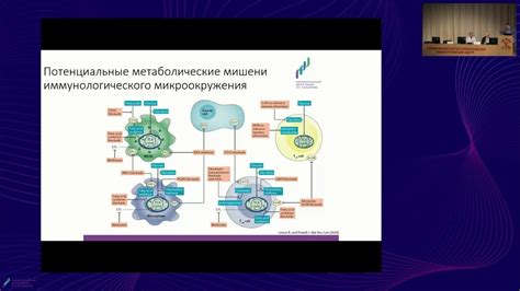 Метаболические особенности