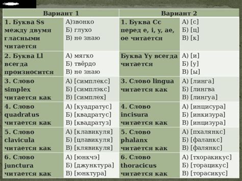 Методика определения слогов в латинских словах с использованием словаря