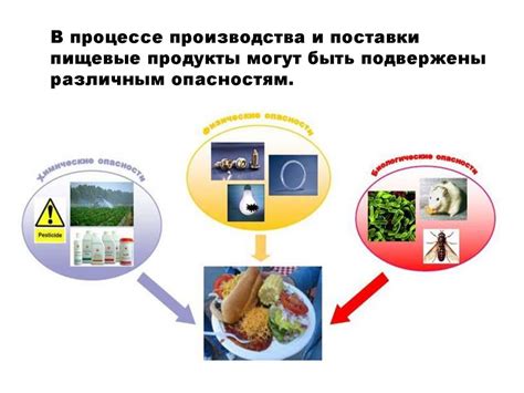 Методы контроля за качеством продуктов питания, связанных с грибом мукор