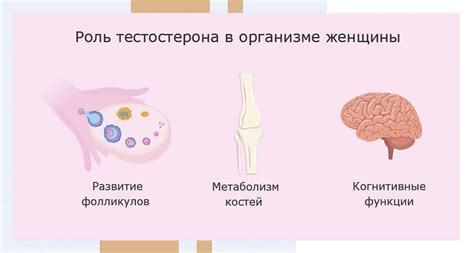 Методы коррекции и нормализации уровня прогестерона в фолликулярной фазе