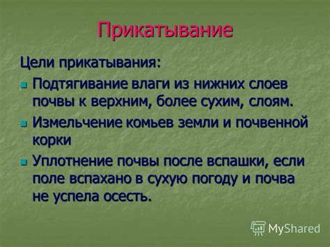 Механизмы доступа влаги и питательных веществ к слоям древесины