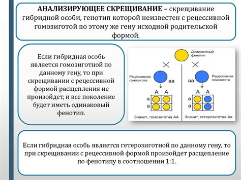 Механизмы определения признаков генами