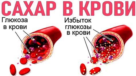 Механизмы поддержания уровня сахара в организме