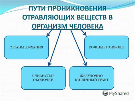 Механизмы попадания грибов в организм