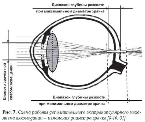 Механизмы работы зрачка