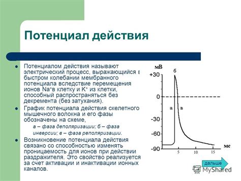 Механизмы самощекочущего действия