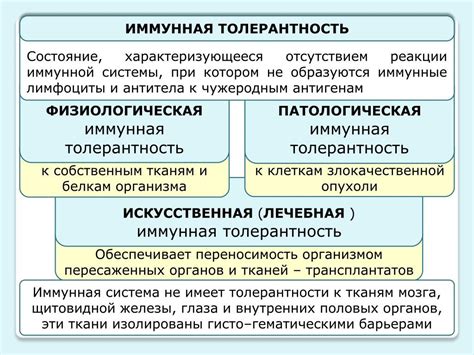 Механизмы формирования предубеждений