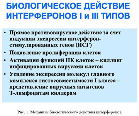 Механизм действия антиперспиранта и его влияние на появление белых разводов