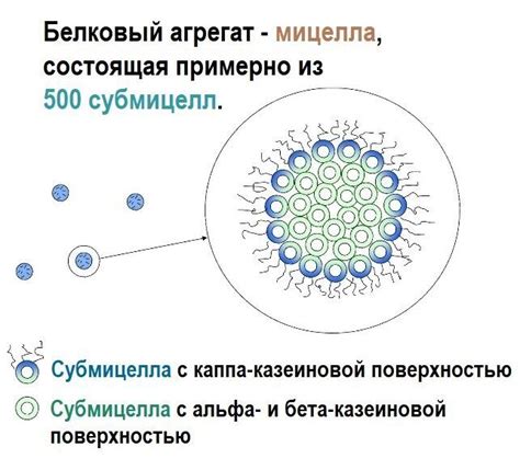 Механизм поднятия молока вверх