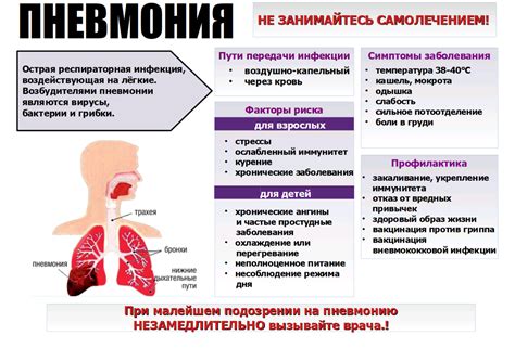 Механизм развития пневмонии после ОРВИ